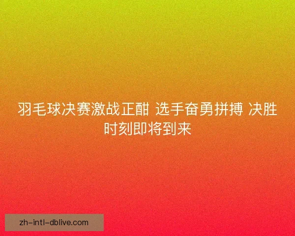 羽毛球决赛激战正酣 选手奋勇拼搏 决胜时刻即将到来