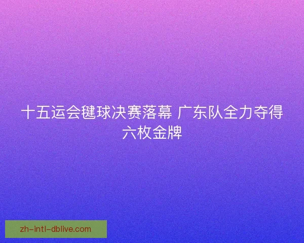 十五运会毽球决赛落幕 广东队全力夺得六枚金牌